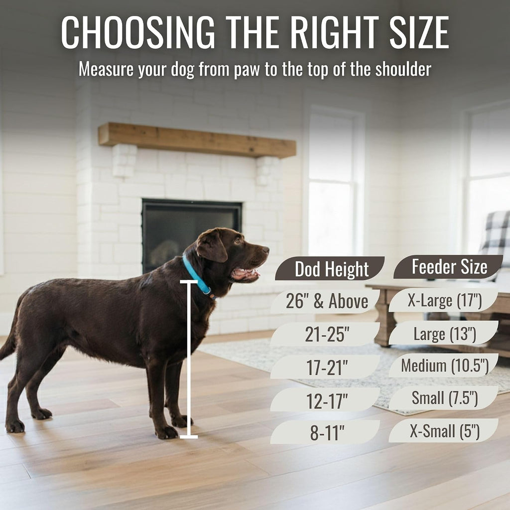 Elevated Dog Bowls for Large Dogs, Personalized Food Stand for Large Breed