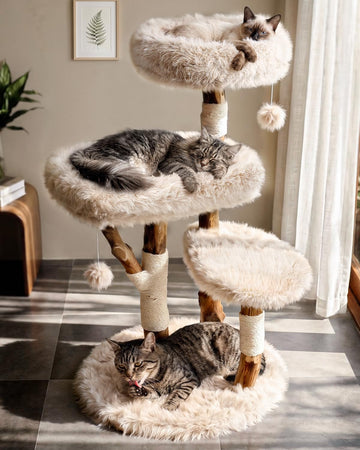 Solid Wood Cat Tree, Boho Modern Cat Tree Tower with Real Branch