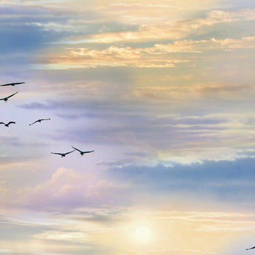 Landscape Medley Birds in Sky Cotton by Elizabeths Studio