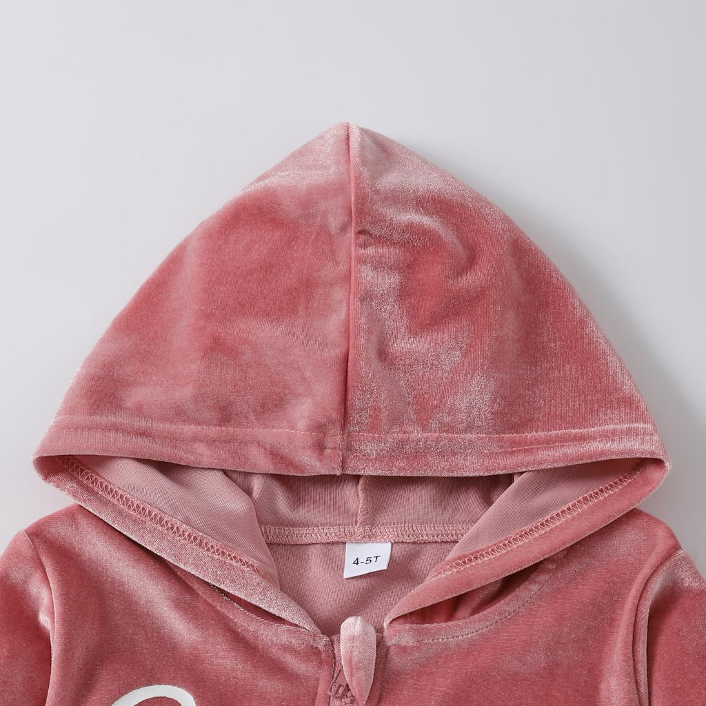 Toddler Girls Velour Hoodie Zipper Sweatsuit Velvet Tracksuit Outfits