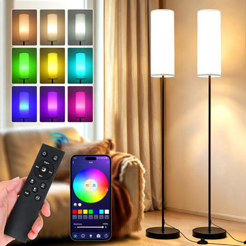 Floor Light Set of 2 - With Remote Corner LED Standing Lamp