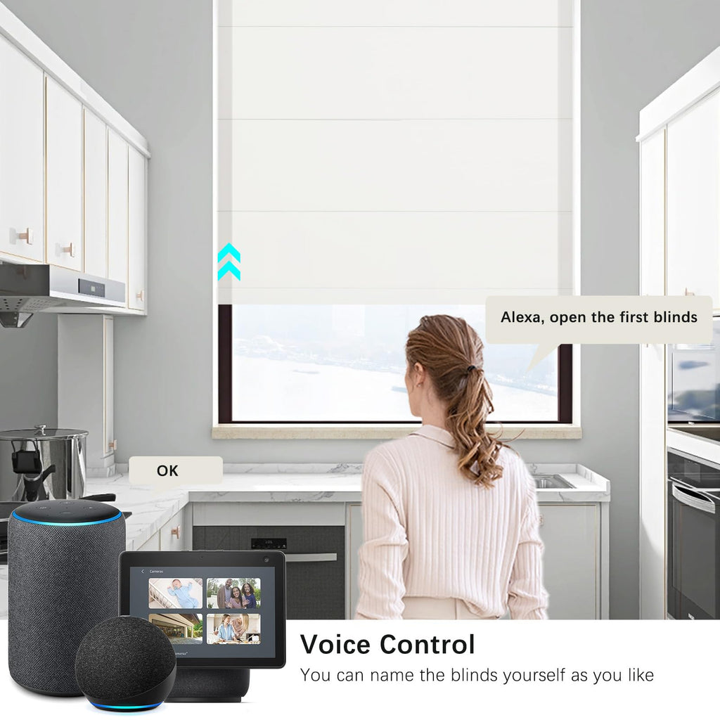 Smart Motorized Roman Shades Remote Control Compatible with Alexa, Google Home, Custom Size Indoor Window Fabric