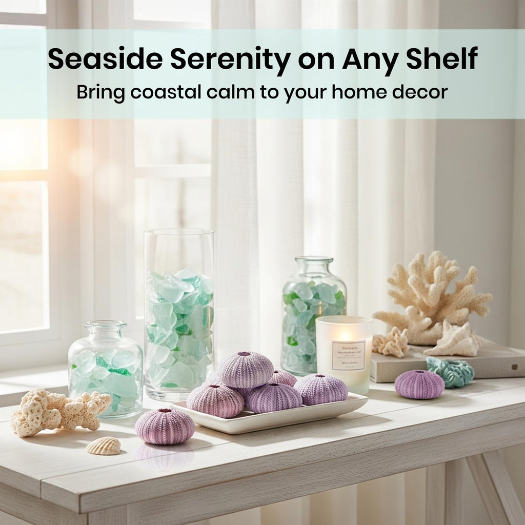 Sea Urchins Shells for Air Plants - 10 Purple (1.5-2.5") Sea Urchin Shells - Hanging Air Plant Holder - Air Plants