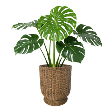Rattan Planter, Woven Planter Basket for Plants Indoor Outdoor, Rattan Flower Pot, Decorative Plant Holder Basket for