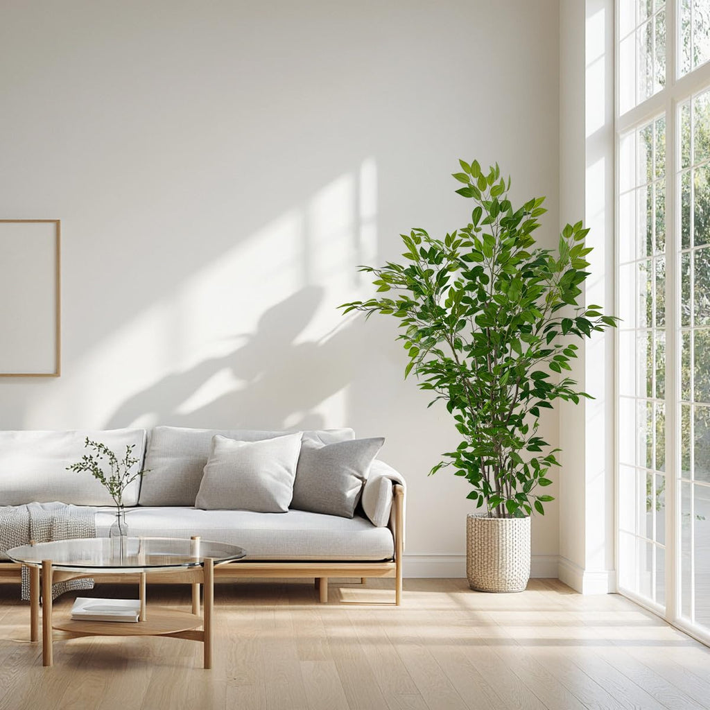 6ft Artificial Ficus Tree with White Plastic Planter