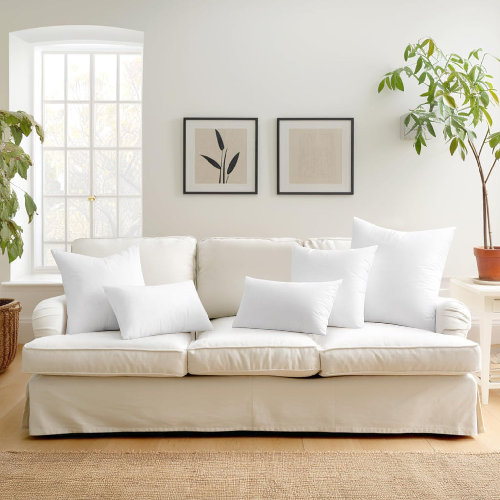 Throw Pillow Inserts 20x20 Inches with 100% Virgin Filling - Set of 2