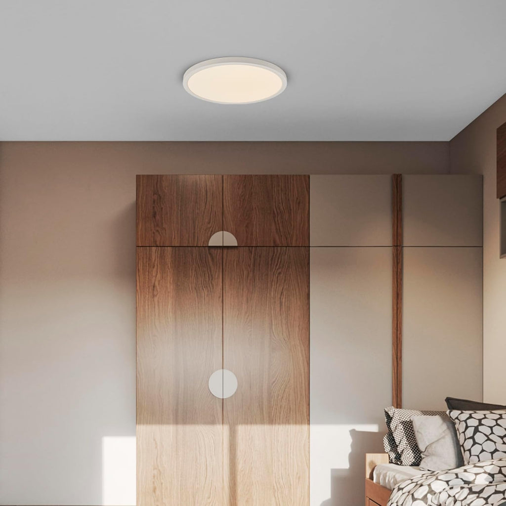 19" White LED Flush Mount Ceiling Light Fixture, 2500 Lumens, 5 CCT | , Round Color Selectable Panel Light, Dimmable