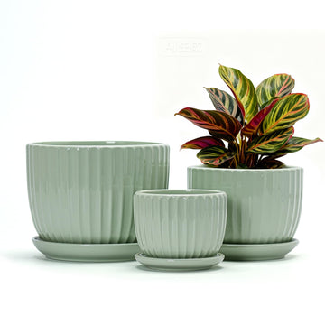 Flower Pots, Ceramic Plant Pots with Drainage Holes Set of 3(Light Green)