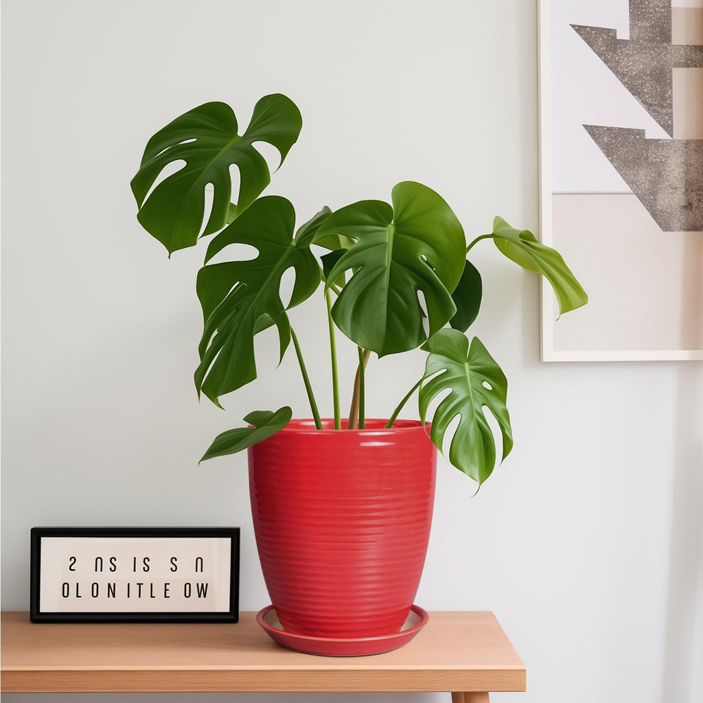 Ceramic Pot for Plants - 8 Inch Plant Pot for Indoor Plants Outdoor Round Planter Modern Flower Pot with Drainage