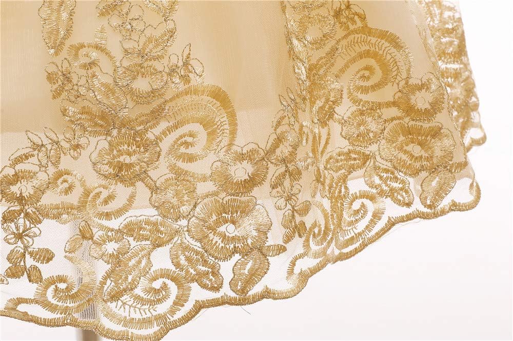 Big Bowknot Sequins Embroidered Lace Party Tutu Gown Toddler Baby Girls Dress with Headwear