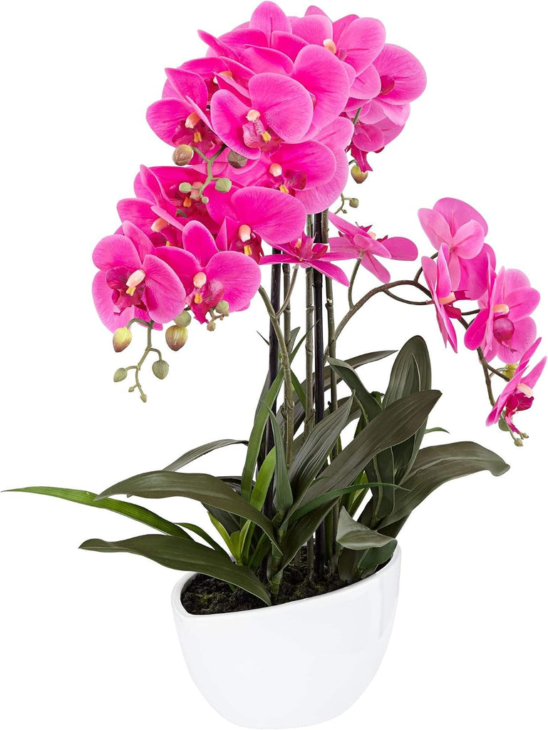 Potted Silk Faux Artificial Flowers Arrangement Realistic Pink Orchid in White Ceramic Oval Pot for Cottage Core Home
