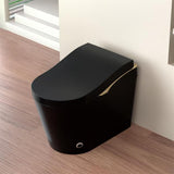 Modern Smart Toilet With Bidet, Auto Open Close, Heated Seat, Automatic Flush, Foam Shield, Warm Water And Dryer