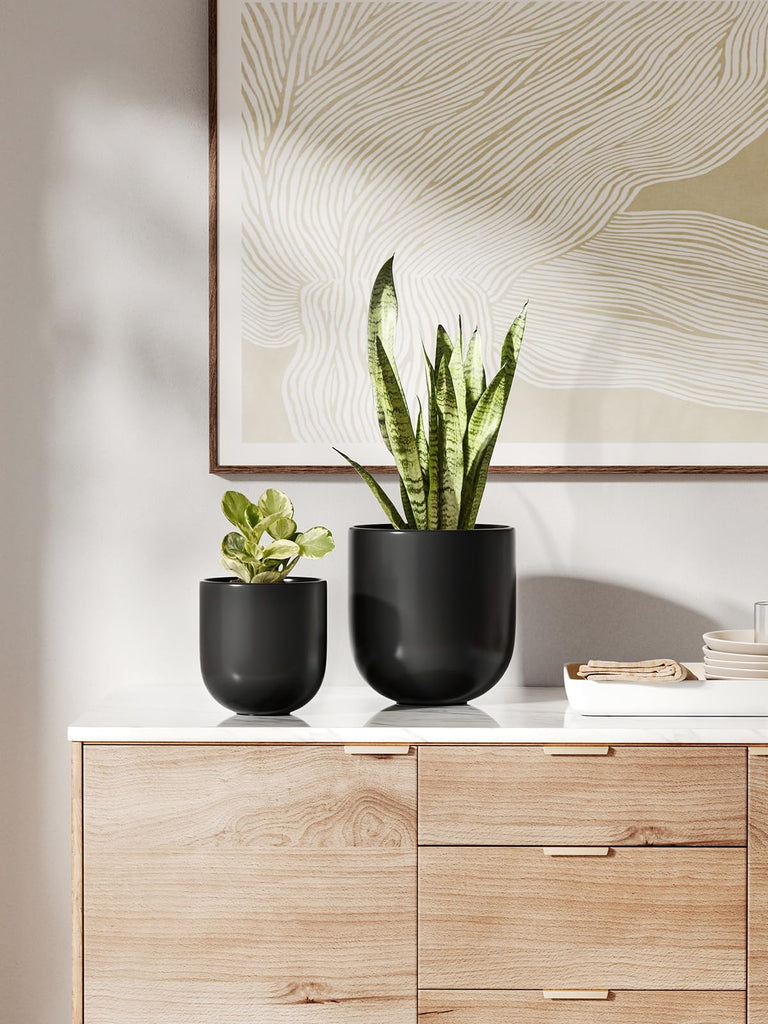 6 Inch Ceramic Plant Pot, Small Indoor Planter, Black
