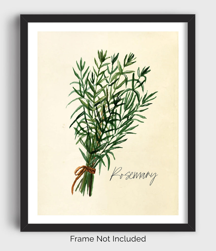 Kitchen Herbs Wall Art Prints - Set of 6-8x10 UNFRAMED Botanical Watercolor Illustrations of Basil, Parsley, Chives