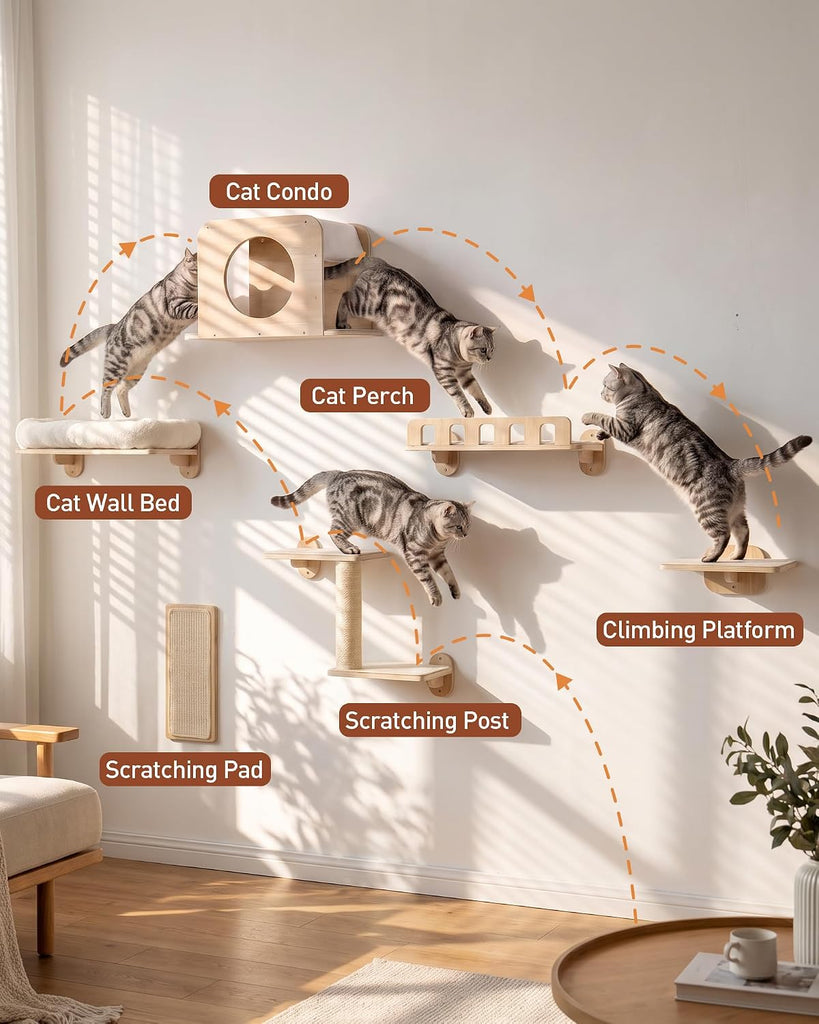 6-in-1 Cat Wall Shelves for Large Cats, Large Cat Bed, Wide Perch