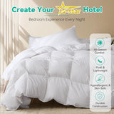 Queen Goose Feather Down Fiber Comforter - Ultral Soft All-Season Down Duvet Insert Fluffy Baffle Bo