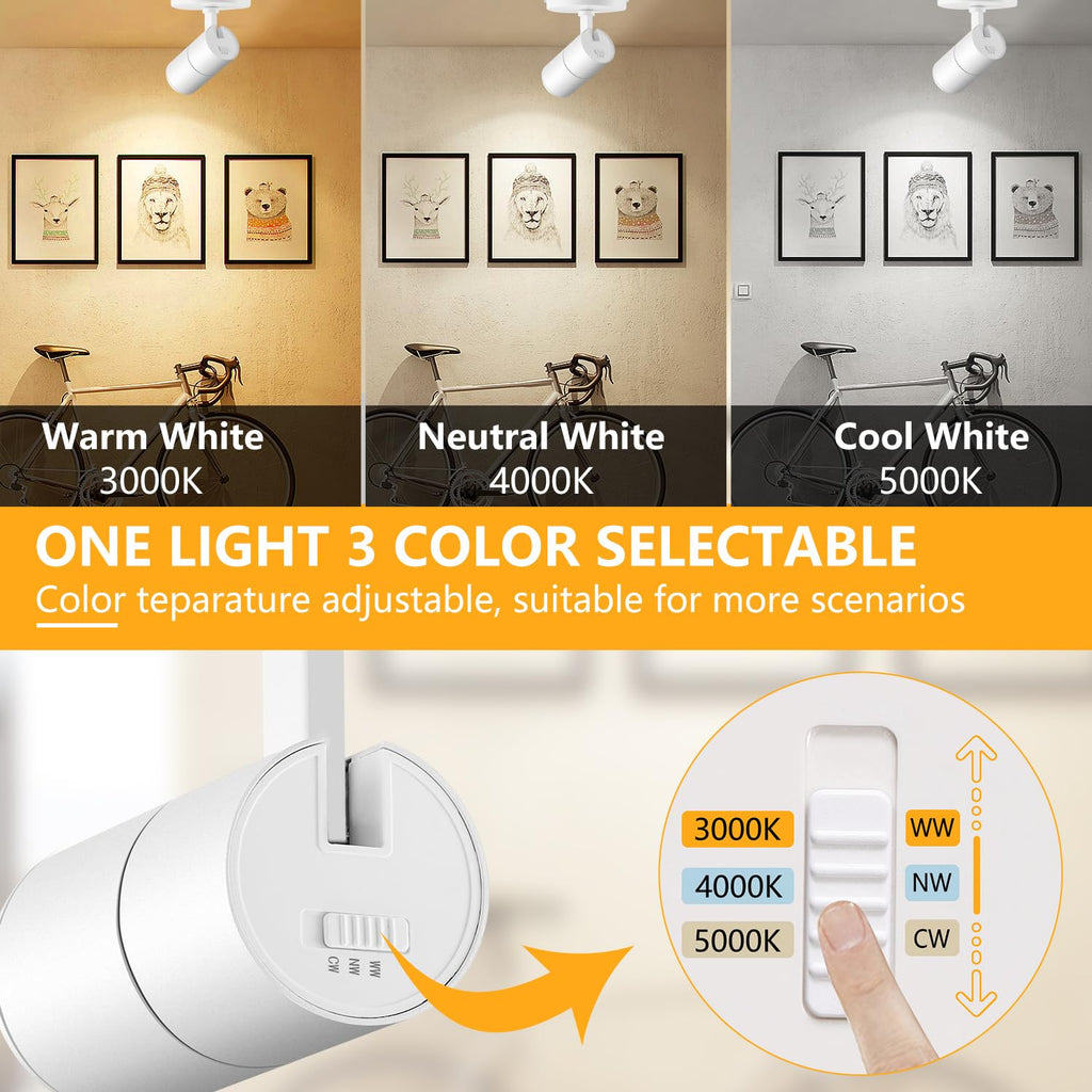 Zoomable Ceiling Spot Lights Indoor, 10W 1000lm White