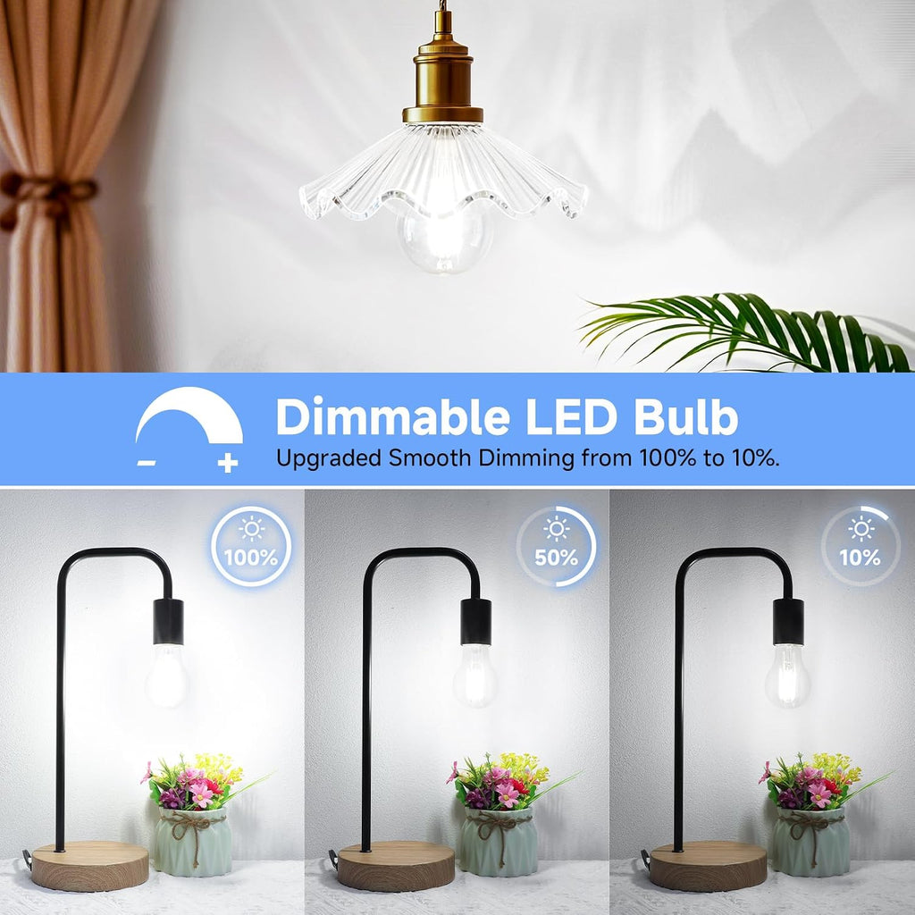 A19 Vintage LED Edison Light Bulbs 60W Equivalent, Dimmable E26 Bulb