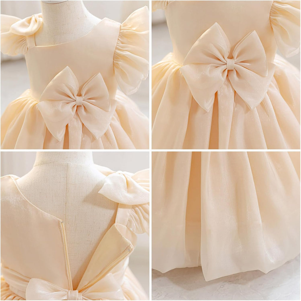 Baby Flower Girl Dress Wedding Guest Birthday Party Princess Dresses Tutu