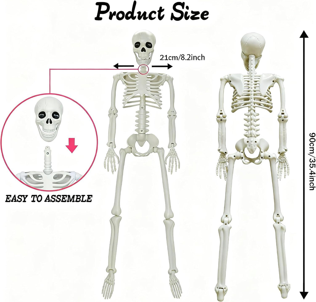 3ft Posable Plastic Halloween Skeleton-36" Skeleton Halloween Decor - Set of 2