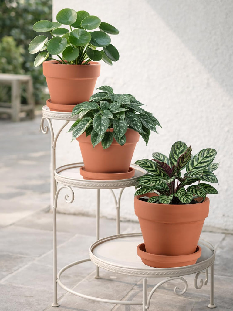 Terracotta Pots Set with Saucer - 5/6/7 inch Ceramic Clay Planters with Drainage Hole, Garden Flower Succulent Pots