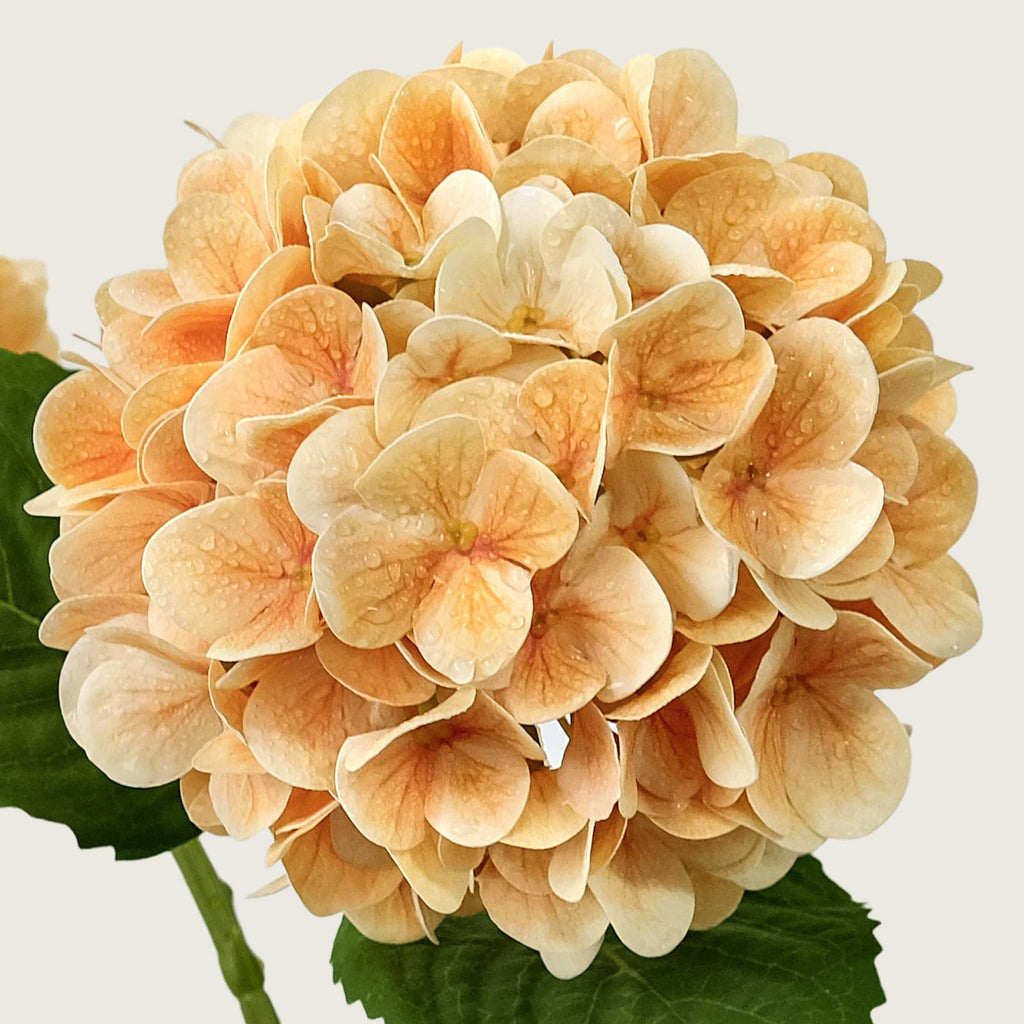 4PCS Fake Artificial Champagne Orange for Decor