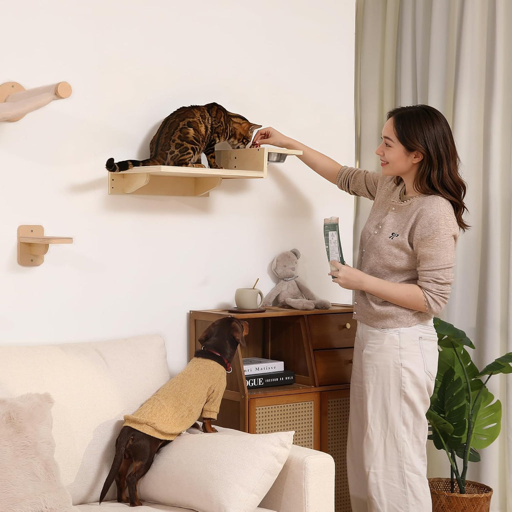 Cat Wall Shelves, Food Station with 2 Steps