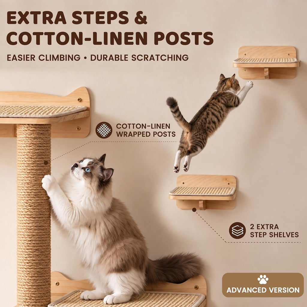 Cat Wall Shelves for Large Cats Wall Mounted Climbing Set