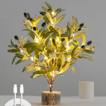 19 Inch Fake Olive Tree with Lights, Bonsai Tree Lamp USB-C & Battery Operated with Timer, Lighted Tabletop Tree for