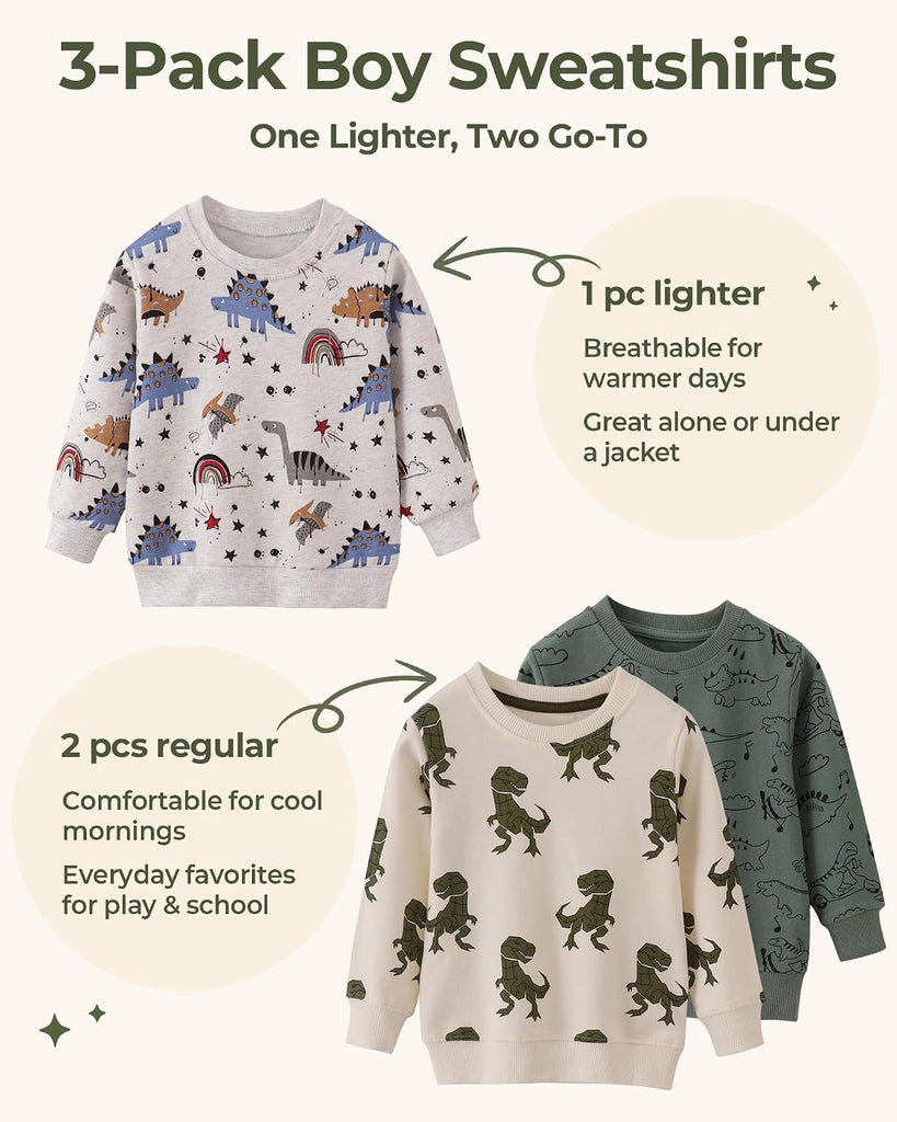 Toddler Boy Cotton Sweatshirts Long Sleeve Shirt Tops Pullover