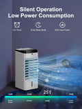 Portable Air Conditioners, 3 IN 1 Evaporative Air Cooler with Detachable Water Tank, 6 Ice Packs, 12H Timer