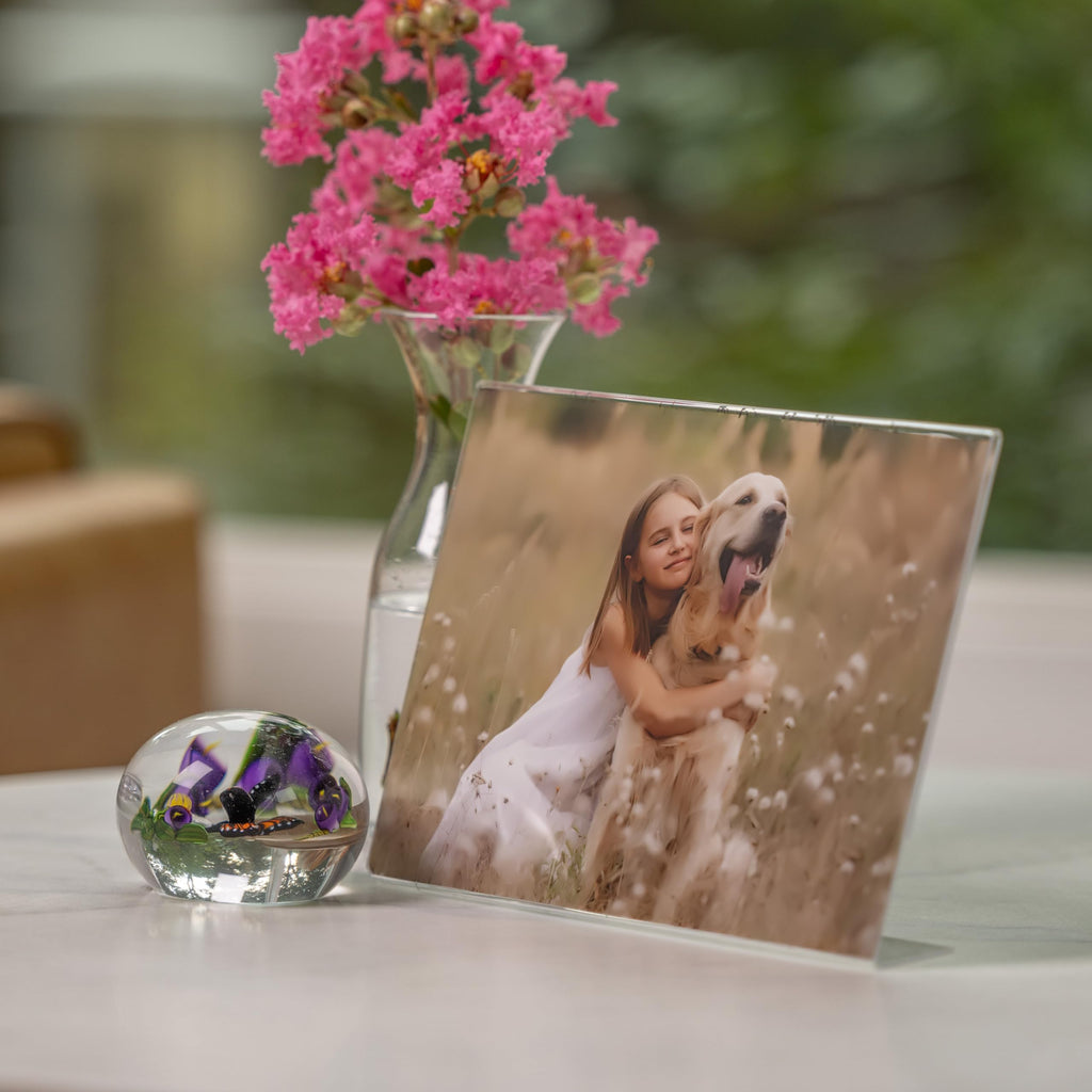7x5 Clear Picture Frame 12 Pack: Frameless L-Shape Desktop Stand, Photo Frame and Sign Holder, Clear Acrylic Style