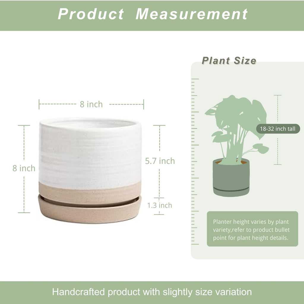 8 Inch Pots for Plants, Ceramic Planter Pot with Drainage Hole & Saucer, Indoor or Outdoor Cylinder Round Planter