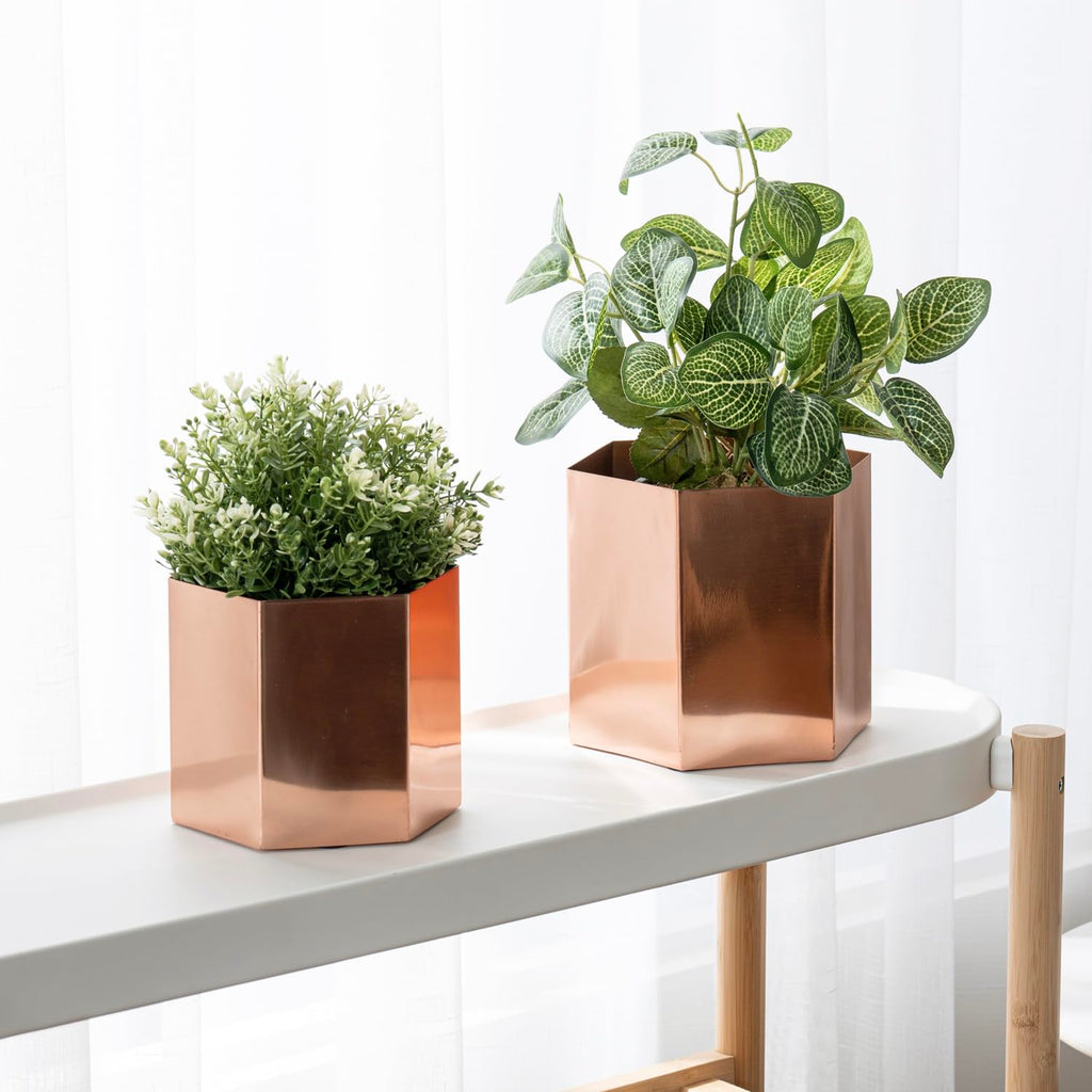 Copper Tone Metal Hexagon Succulent Cactus Planter Pots, Set of 2