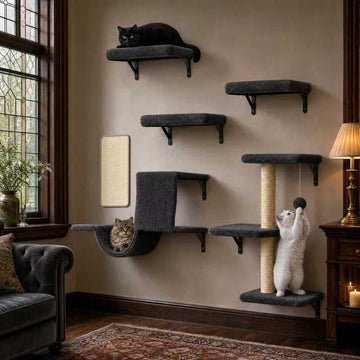 6-in-1 Wall Mounted Cat Climber Set for Heavy Cats, Wall Shelves, Stable & Safe Cat Furniture Set for Large Cats
