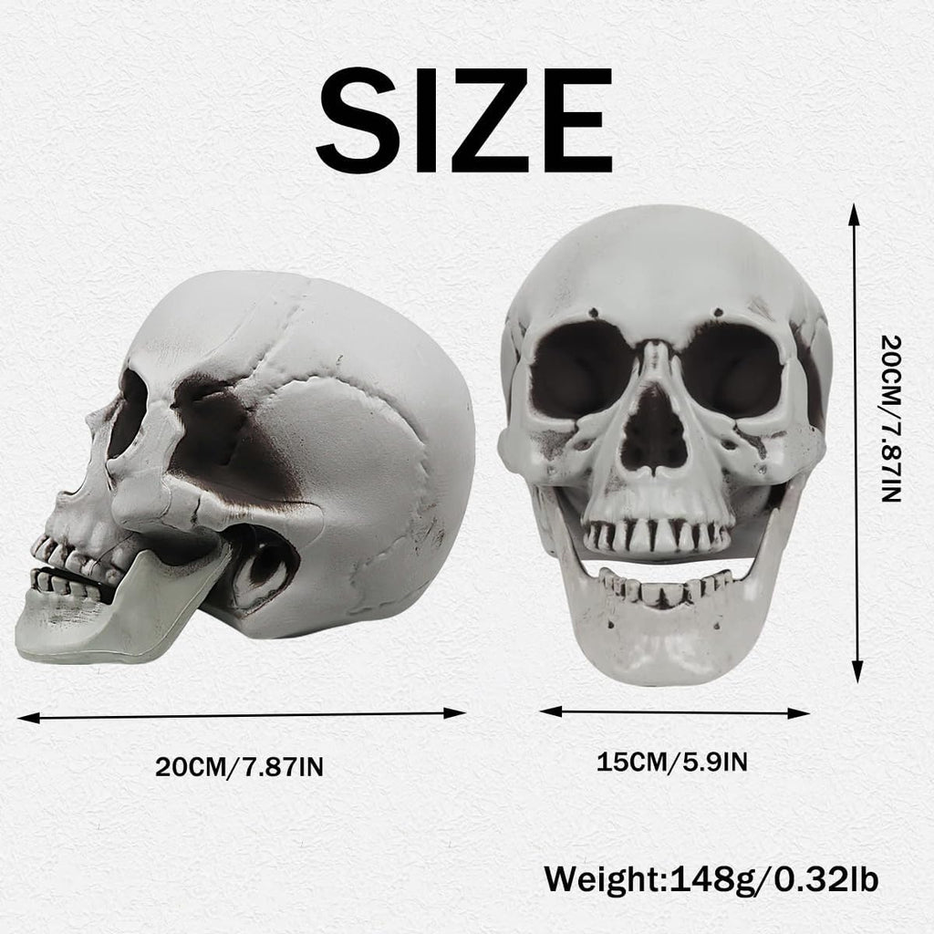 Life Size Skeleton Skull for Halloween Decor Graveyard Outdoor White