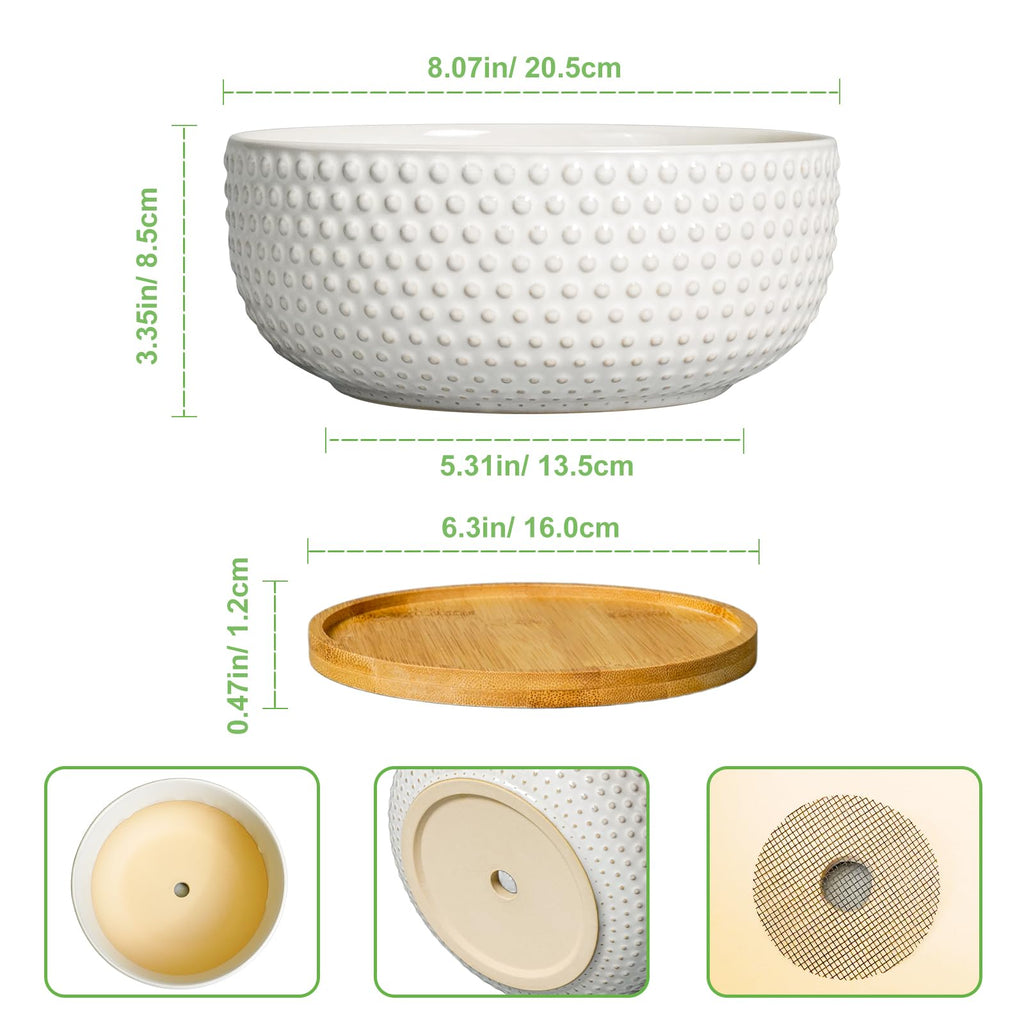 Succulent Pots 8 Inch - Ceramic Bonsai Planters for Indoor Plants, Plant Pot with Drainage Hole and Saucer, Shallow