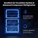 Dual Zone Beverage Cooler Refrigerator, 33 Bottle Chiller with Glass Door & Digi