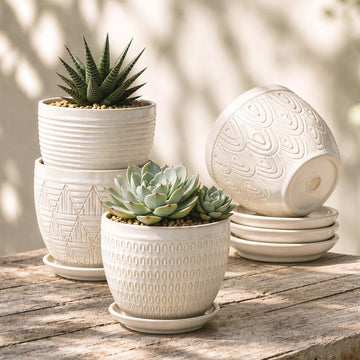 5.8 Inch Ceramic Pots for Plants, Large Succulent Pots with Drainage Hole & Saucer, Vintage Planter Pots for Indoor