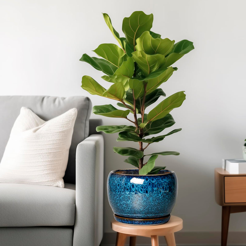 10 Inch Plant Pot - Ceramic Planter Pot with Drainage Hole and Saucer, Decorative Plant Pot for Indoor Outdoor