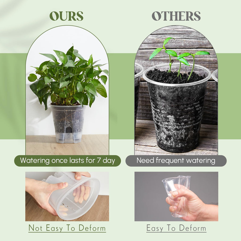 Self Watering Planter, 5.91'', Clear, 6 Pcs