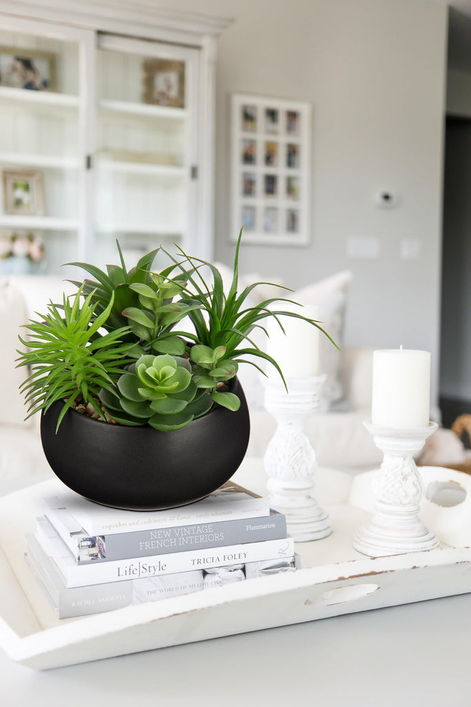 Fake Plants Artificial Succulents in Pots Faux Succulent Arrangement Potted Plant in Black Ceramic Planter Bowl Decor