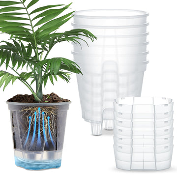 Self Watering Planter, 5.91'', Clear, 6 Pcs