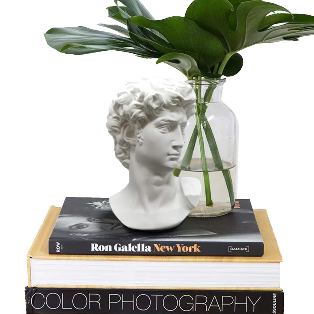 Greek Statue of David - Head Bust for Mythology and Home Decor