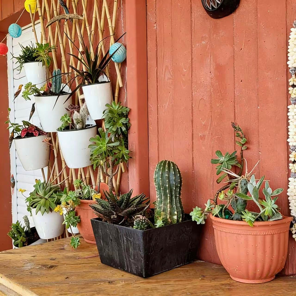 6 Pack Hanging Planter Wall Planter Self Watering 5 inch Plant Pot with Hardware Vertical Planter Outdoor Indoor