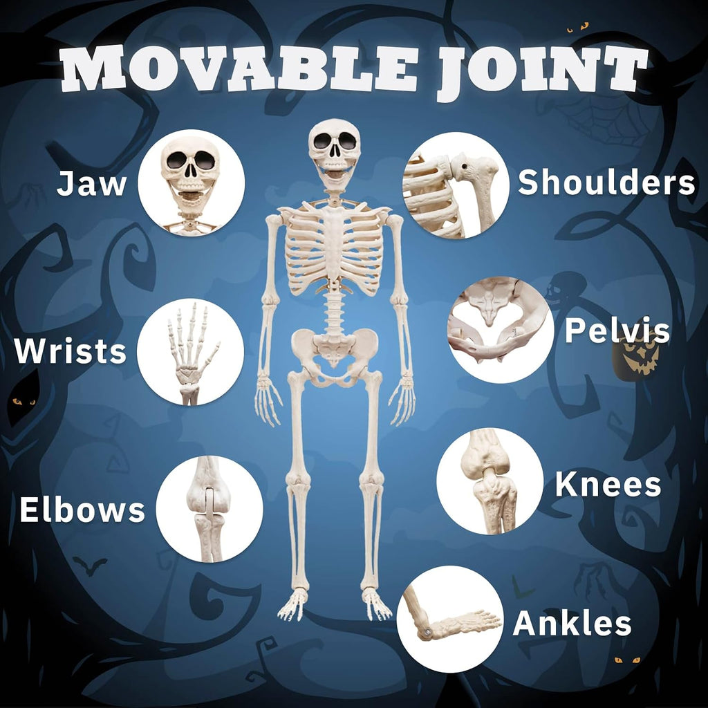 5.75ft Life Size Posable Halloween Skeleton, Movable Joints