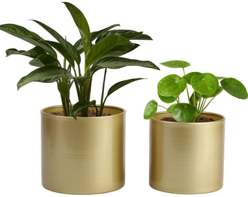 Metal Flower Pots Garden Planters Indoor Round Succulent Containers, Pack 2 Cactus Plant Pots with Drainage Hole