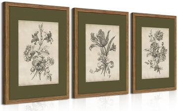 Vintage Floral Wall Art Set of 3, Sketch Sage Green Botanical Canvas Wall Decor Paintings, Retro Minimalist Flower