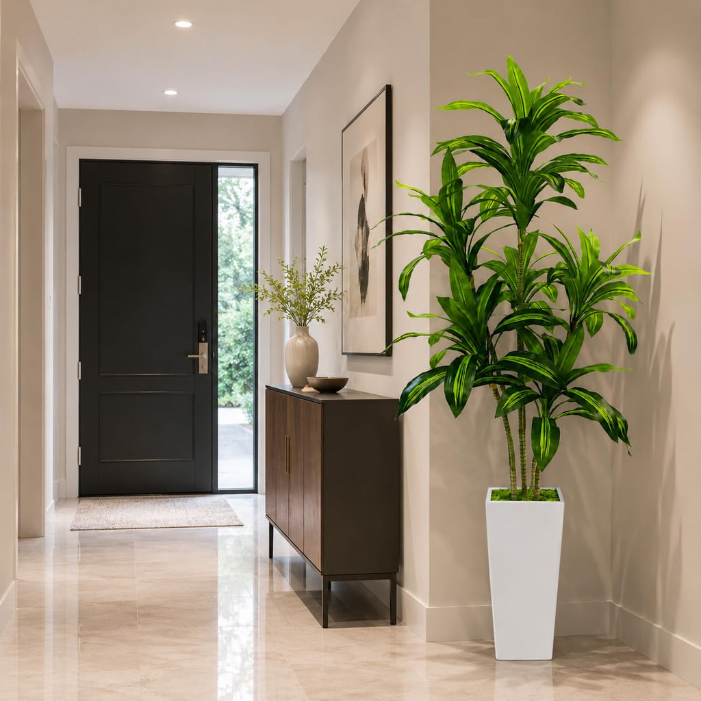 Dracaena Tree with White Tall Planter, 6FT