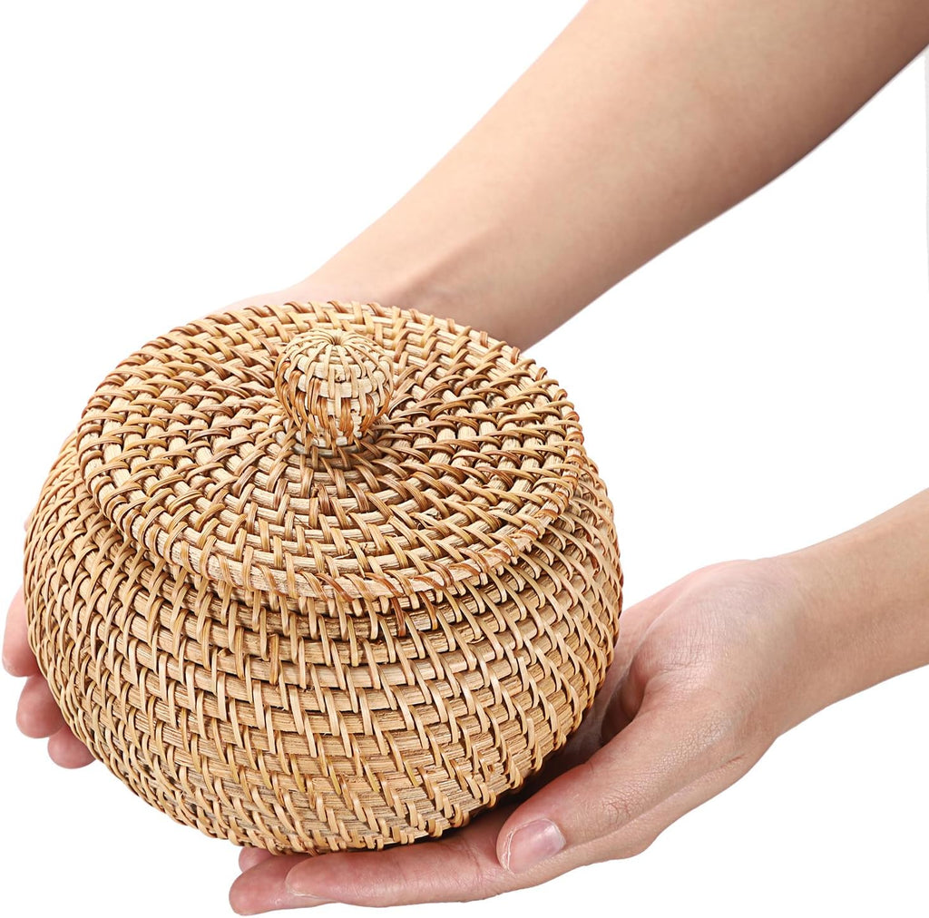 Round Rattan Basket Box with Lid Wicker Storage Baskets Bin, X-Small